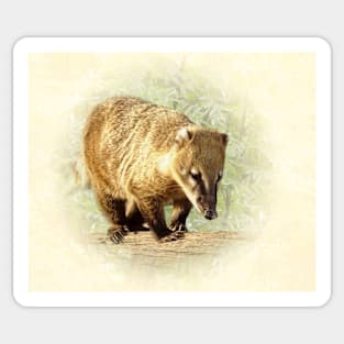 Coati Sticker